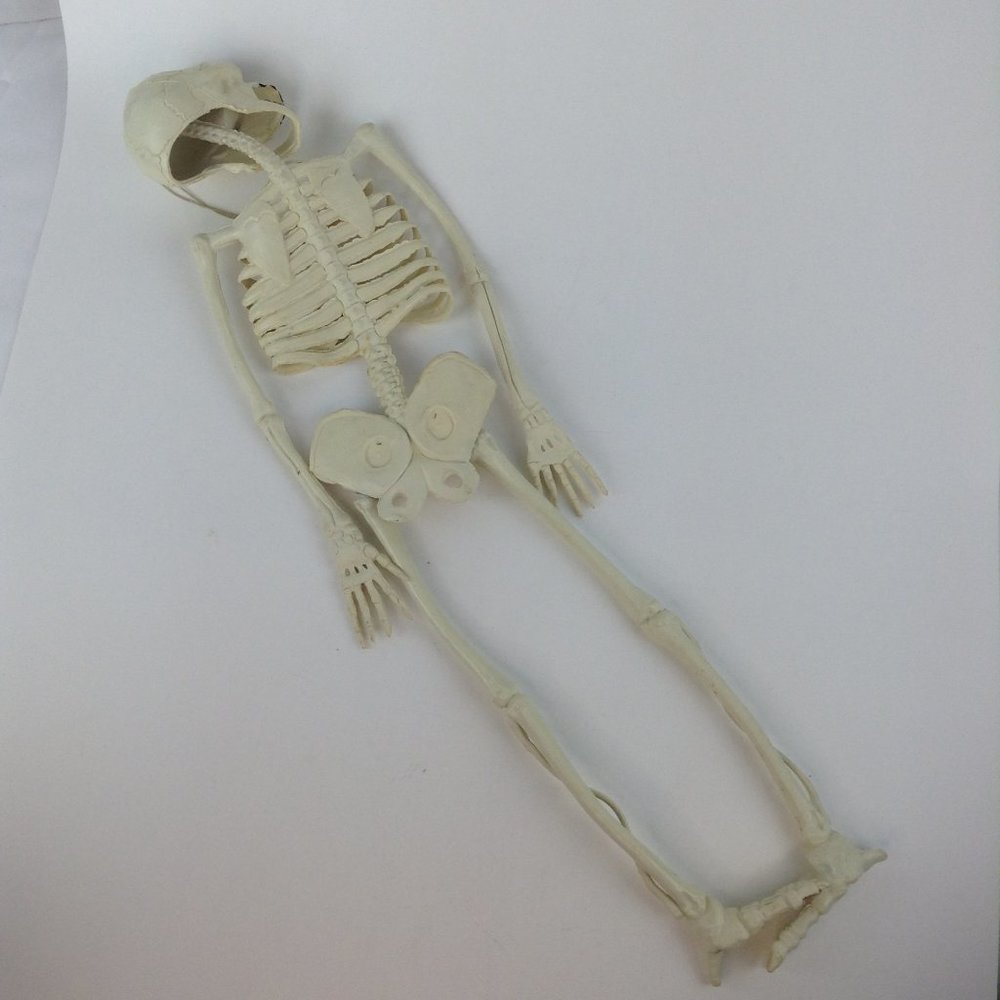 Vintage Halloween Hanging Skeleton 23" - Picture 6 of 13